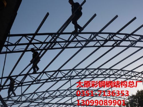 �V���������