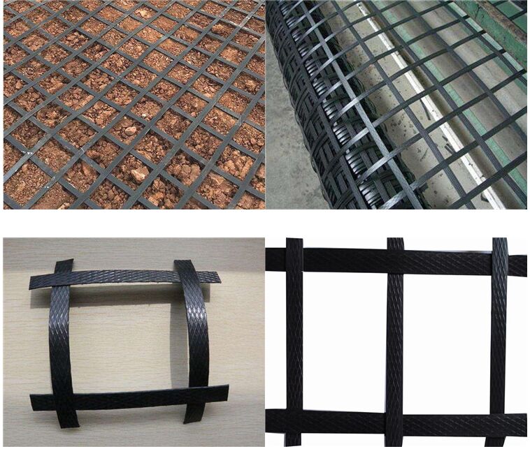 PP���������������